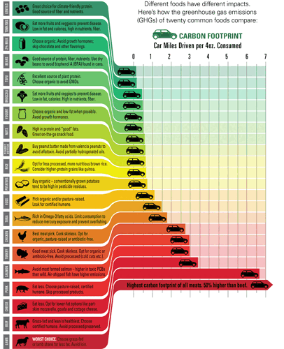 Vergleich von CO2 Abdruck verschiedener Lebensmittel