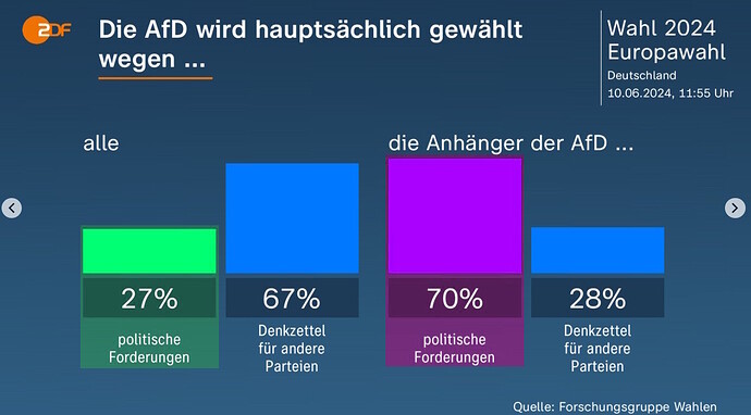 Europawahl-AfD Y