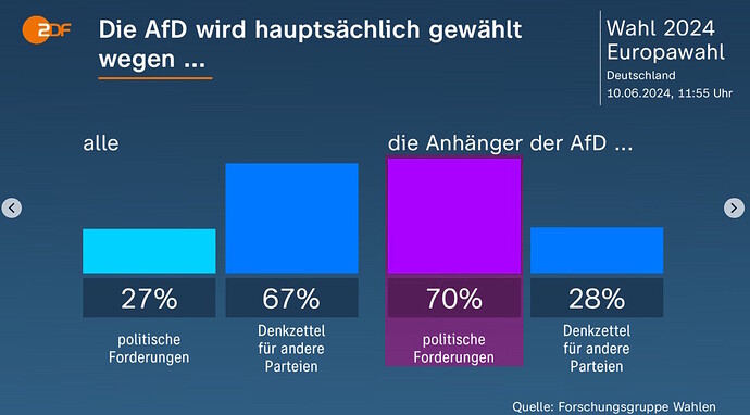 Europawahl-AfD X